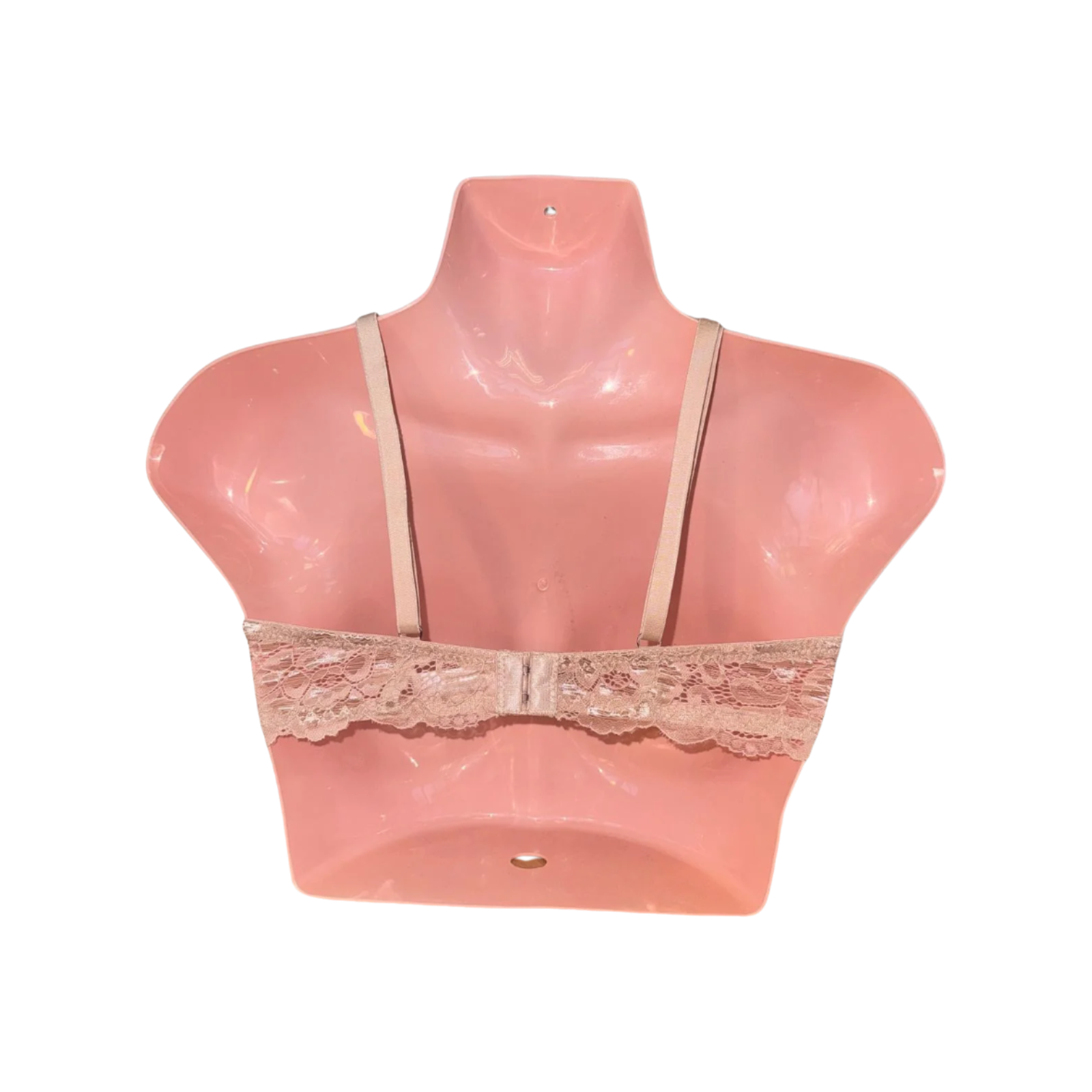Padded T-Shirt Bra - Beige