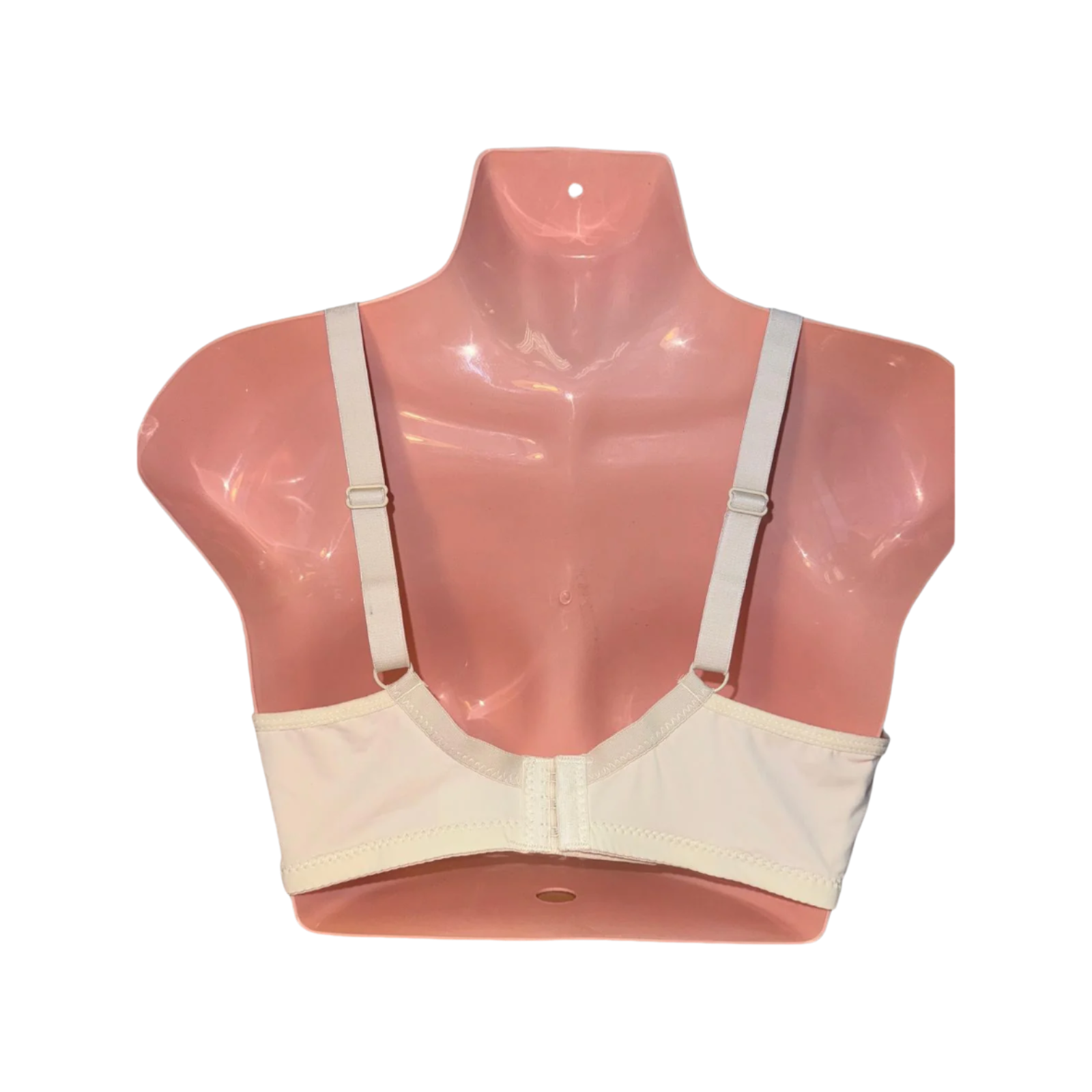Padded T-Shirt Bra - Cream