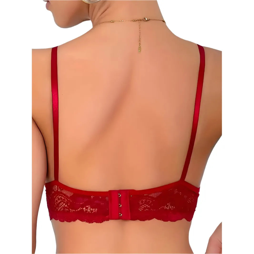 Red lace bra shown from the rear with straps and back hook displayed